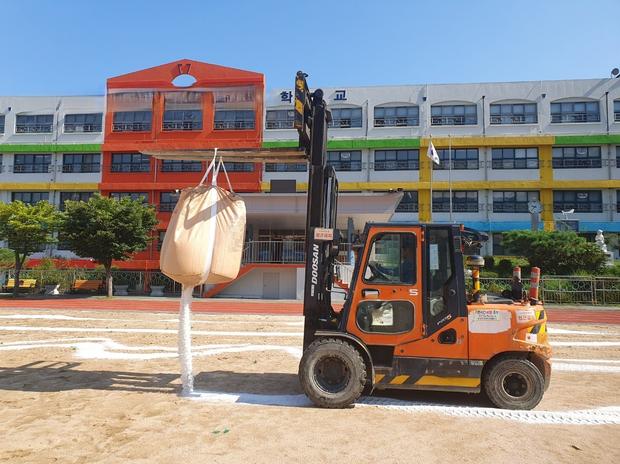안성고등학교 운동장 천일염, 케이스터디움으로 걱정 없이 완벽 관리! 관련 이미지