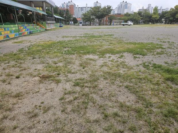 파주고등학교 운동장 그라인딩, 혁신적인 기술로 최상의 경험 제공! 관련 이미지