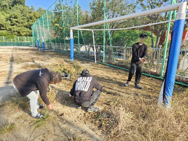 파주병설유치원 운동장 잔돌 제거: 전문가로부터 완벽한 안전 & 효율적인 방법 관련 이미지