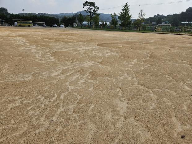하남고등학교 운동장 포크레인, 케이스터디움으로 혁신적인 시공! 관련 이미지
