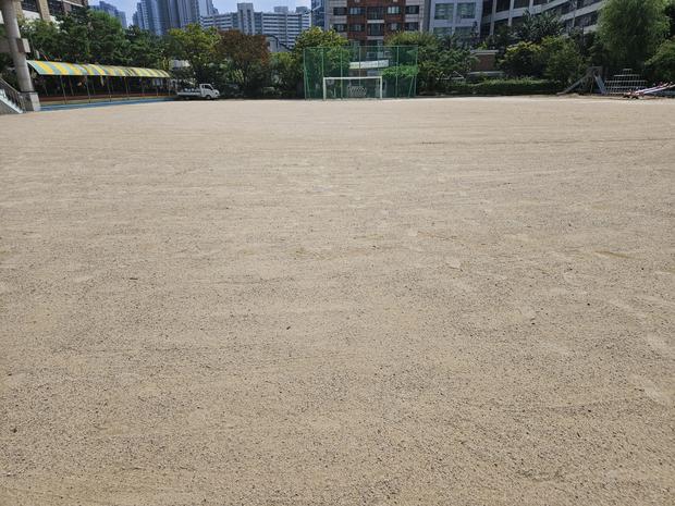 양양초등학교 운동장 잡초 제거, 케이스터디움으로  '깨끗하고 안전한 놀이터' 만들어보세요! 관련 이미지
