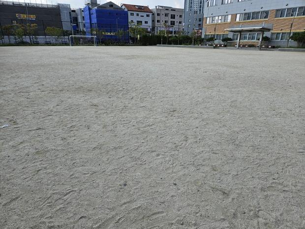 양양어린이집 운동장 표면 정비: 안전하고 쾌적한 놀이터를 위한 전문 시공!