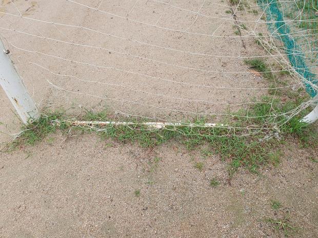 화성중학교 운동장 그라인딩: 전문가 케이스터디움, 혁신적인 기술로 안정적인 건강과 에...