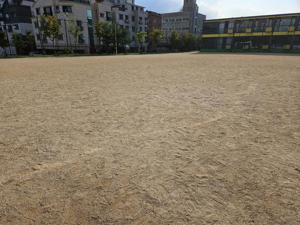 화성중학교 운동장 천일염 방지, 케이스터디움 전문 시공으로 완벽하게! 관련 이미지