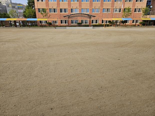 장흥중학교 운동장 그라인딩:  ? 잔디를 위한 전문가, 케이스터디움!
