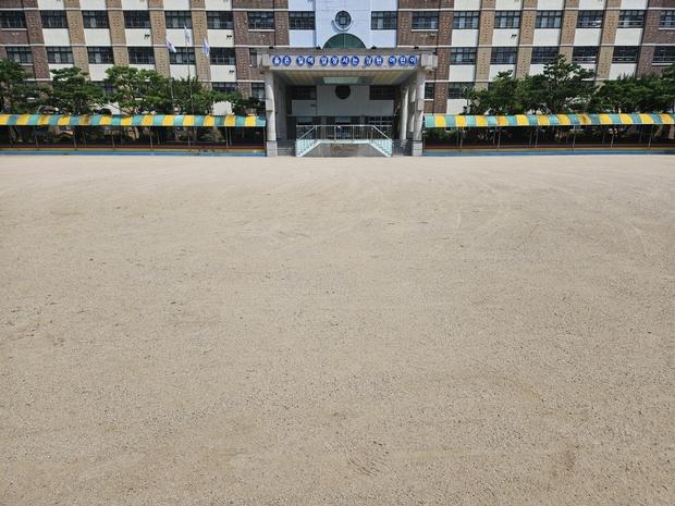 산천초등학교 운동장 포크레인 작업, 잔디 피로 완화!  ? 케이스터디움으로 신뢰할 수... 관련 이미지