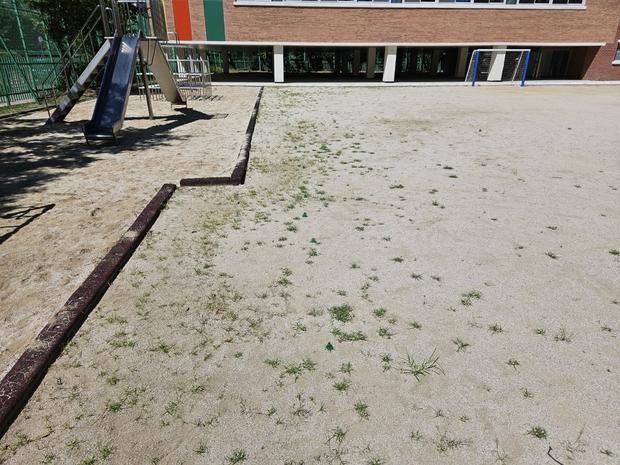 괴산고등학교 운동장 그라인딩, 안전하고 멋지게! 케이스터디움이 만든 최고의 공간