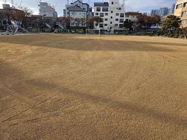 영광고등학교 운동장 잡초 제거, 케이스터디움으로 완벽한 관리! 관련 이미지