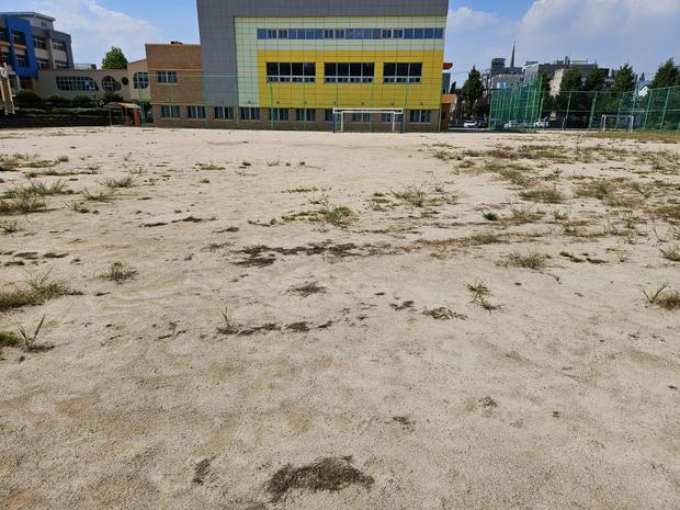 문경초등학교 운동장 잔디 제거, 케이스터디움으로 안정적인 활용 공간 만들어보세요! 관련 이미지