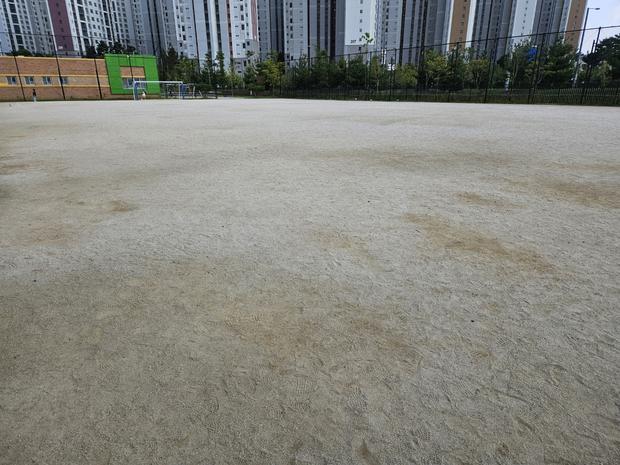 담양고등학교 운동장 표면 재정비! ?  전문 케이스터디움으로 실질적인 효과를 얻는 방법 관련 이미지