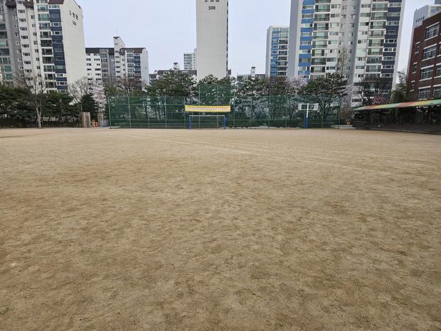 부안초등학교 운동장 천일염 살포, 전문 시공으로 신뢰할 수 있는 안전한 공간 만들어보세요! 관련 이미지