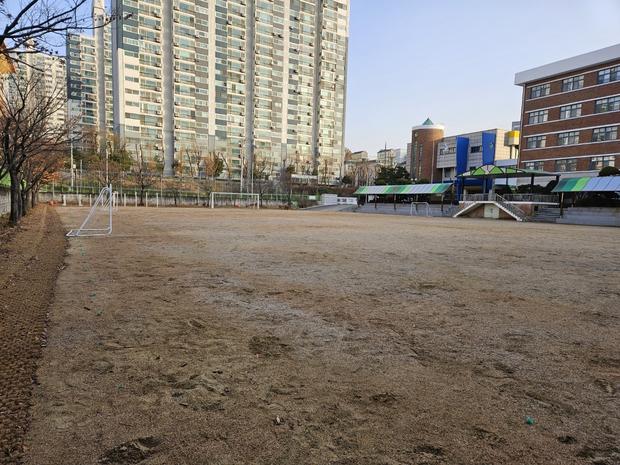 완도병설유치원 운동장 잡초 제거! 전문 시공, 지속 가능한  "깨끗함" 확보 관련 이미지