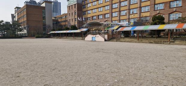양평초등학교 운동장 잔돌 제거, 케이스터디움으로 완벽한 공간 만들기! 관련 이미지