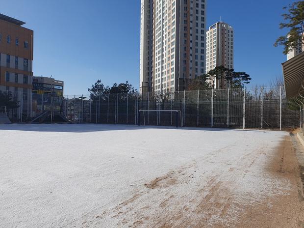 이천중학교 운동장 잡초 제거, 전문 시공으로 완벽한 건강하고 예쁜 공간 만들기! 관련 이미지