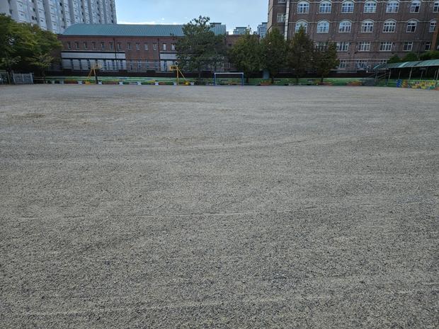 영양병설유치원운동장 재설, 케이스터디움으로 안전하고 뛰어난 운동 공간 만들기!