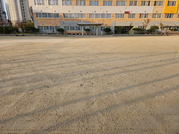 해남고등학교 운동장 재점검!  전문 시공으로 안정적인 운동장 만들어요! 관련 이미지