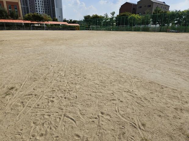 보은어린이집 운동장 마사토 보충, 학교 시설관리 전문 케이스터디움 ? 관련 이미지