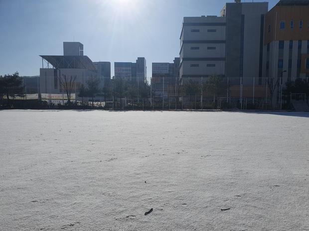 ** 영광어린이집 운동장 잡초 제거, 전문 케이스터디움으로 건강한 놀이터 만들자!** 관련 이미지