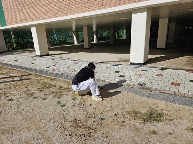 전북 어린이집 운동장 포크레인 작업, 혁신적인 기술로 안락한 놀이터 만들어보세요! 관련 이미지