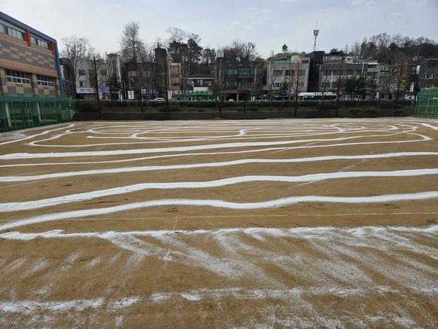 함평고등학교 운동장 재설, 완벽한 기능성과 쾌적한 경험! 케이스터디움 만족 보증