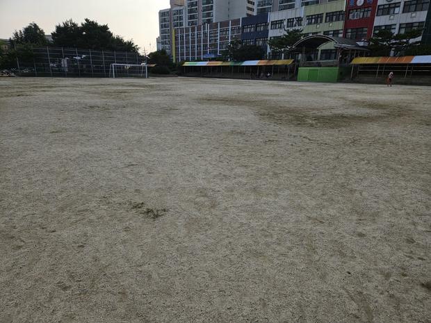 천안초등학교 운동장 유지보수, 케이스터디움으로 튼튼함과 안전까지!
