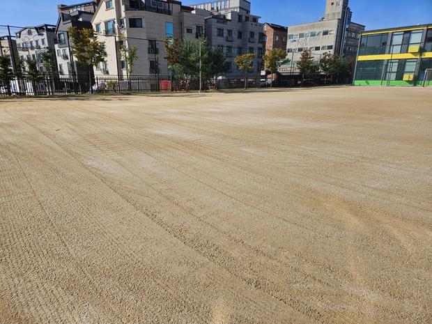 논산고등학교 운동장 롤러 작업, 케이스터디움으로  **최상의 환경 완성!**
