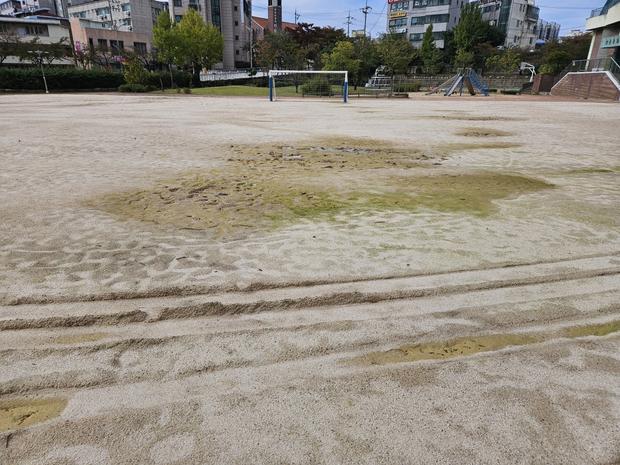 진도중학교 운동장 천일염살포 | 학교 시설관리 전문 케이스터디움