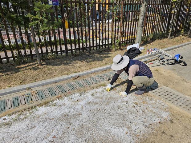 부산병설유치원운동장 재설, 믿을 수 있는 전문가 케이스터디움으로 완벽하게!