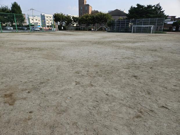 안동중학교 운동장 잡초 제거, 전문 시공으로 깨끗한 공간 만들어보세요!