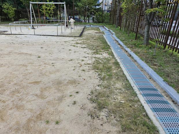 금산병설유치원 운동장 롤러 작업, 전문 시공으로 놀라운 결과를 만들어보세요!