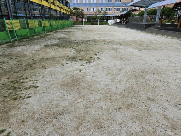 광양초등학교 운동장 잔돌 제거, 전문 시공으로 안전하고 효율적인 관리!