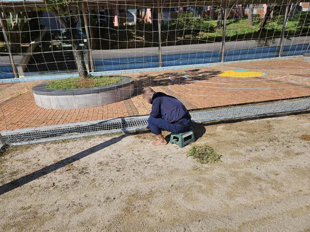 대정읍 어린이집 운동장 소금살포: 전문 시공으로 튼튼하고 장기적인 건강을 위한 최고의...