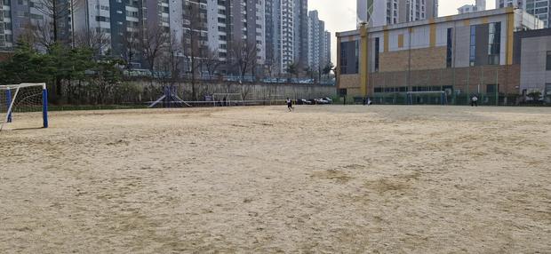 울산고등학교 운동장 잔디 제거, 전문 케이스터디움으로 1년 안에 완벽하게!