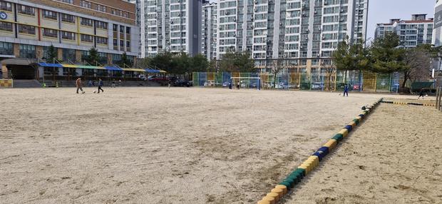 태안고등학교 운동장 다짐작업, 전문 케이스터디움으로 혁신적인 시공 완료!