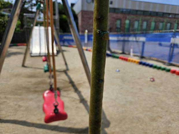 고흥병설유치원 운동장 교체: 전문 기술, 안전 및 쾌적한 공간 확보