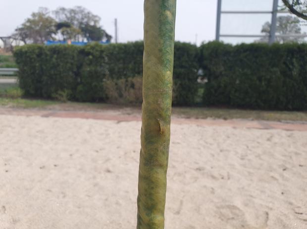 예산 초등학교 운동장 그네 교체, 케이스터디움이 해결하는 문제!