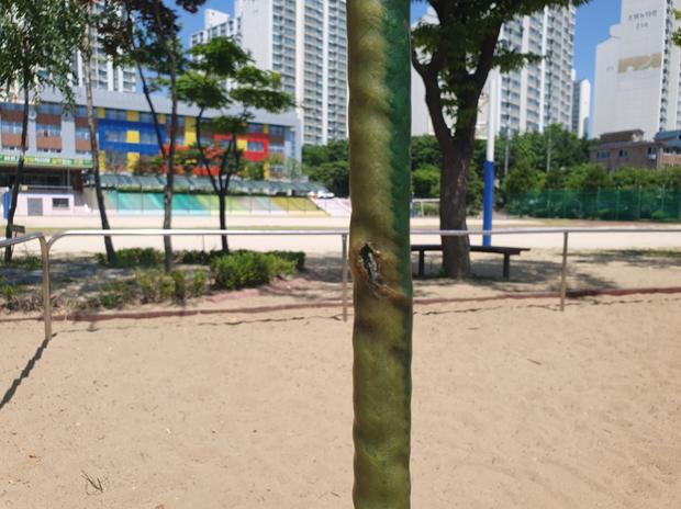 김해어린이집운동장 그네 교체: 전문 시공으로 깨끗하고 안전한 운동 공간 만들기!