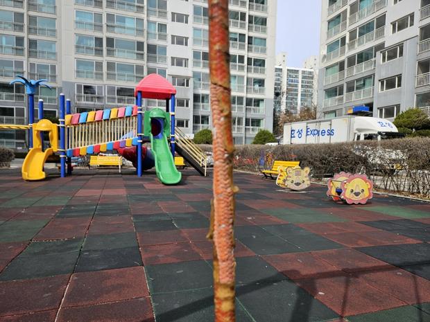 속초병설유치원 운동장 그네 교체, 믿을 수 있는 전문 시공으로 튼튼하게 만들어줄까?