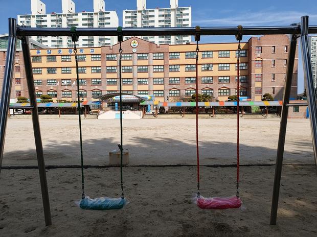 과천초등학교 놀이터 교체, 혁신 기술로 안전하고 장르적인 운동 공간 만들기!