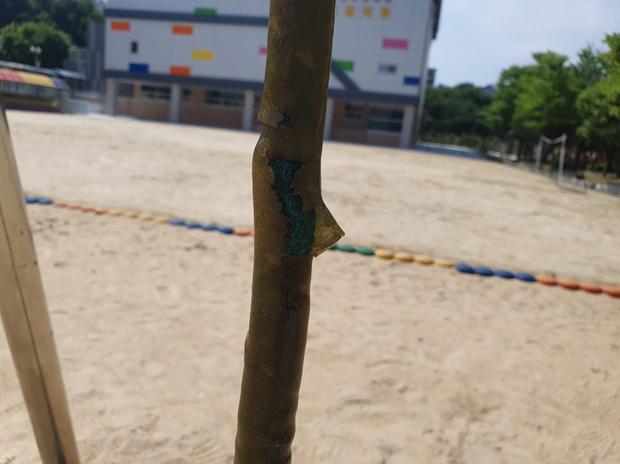 거제병설유치원 놀이시설 교체,  전문가 케이스터디움으로 학교 운동장을 더욱 안전하고 ...