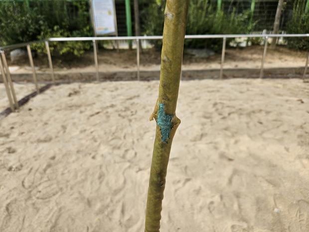 청도병설유치원 놀이터 교체, 케이스터디움으로 안전과 쾌적함 확보!