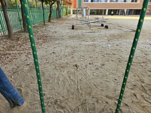 무주초등학교 운동장 그네 교체,  전문 시공으로 튼튼하고 안전한 놀이터 만들기! 관련 이미지