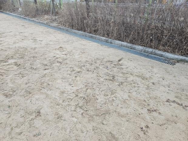 포천초등학교 놀이터 마사토 충진, 걱정 끝! 케이스터디움이 담았던 안전과 신뢰