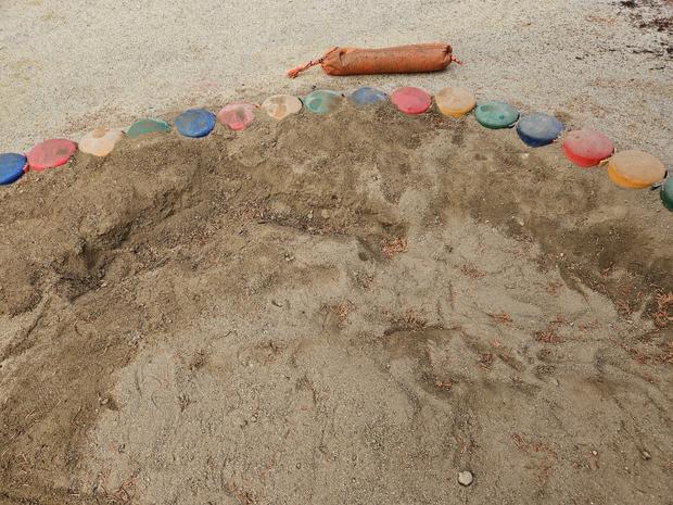단양초등학교 놀이터 마사토 충진, 튼튼함과 안전성까지 케이스터디움!