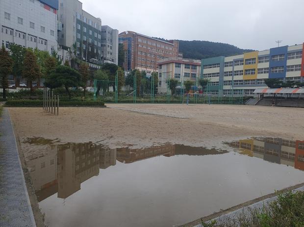 완도병설유치원 놀이 시설 모래보충 ?️  전문적인 케이스터디움, 안전하고 튼튼한 장비...